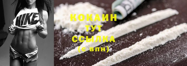 PSILOCYBIN Абдулино